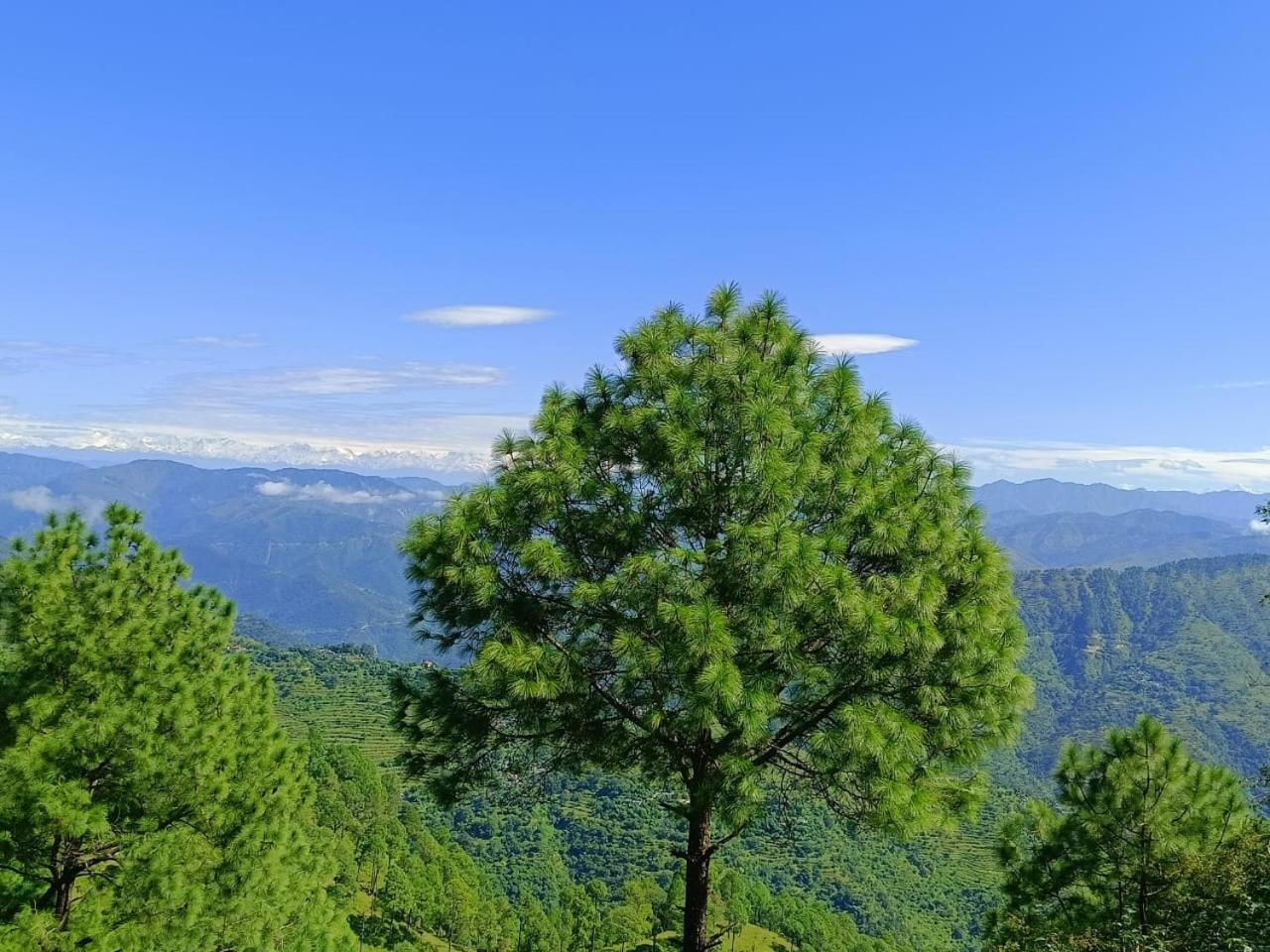 Joshi Holiday Home Stay ลันส์โดว์นี ภายนอก รูปภาพ